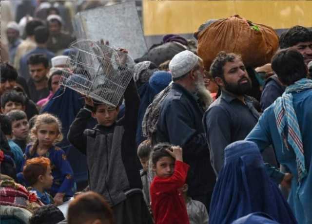 افغان باشندوں کی واپسی، خیبرپختونخوا میں عمل سست روی کا شکار