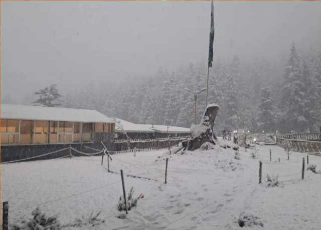 شمالی علاقوں میں بارش اور برفباری کا امکان، شدید دھند کی توقع