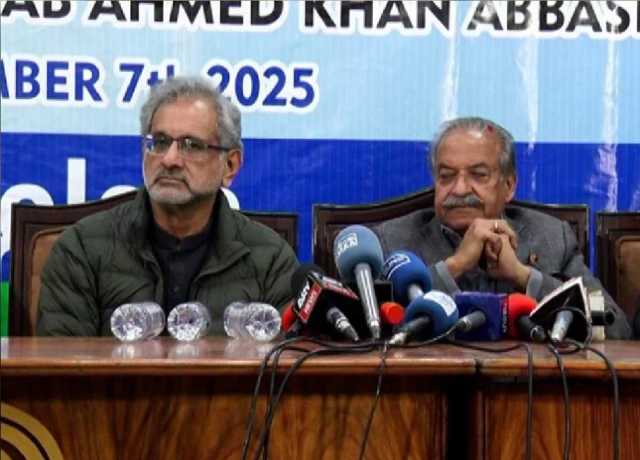 ادارے ایک دوسرے کے خلاف کھڑے اور نفرت سے کام لیا جارہا ہے، شاہد خاقان عباسی