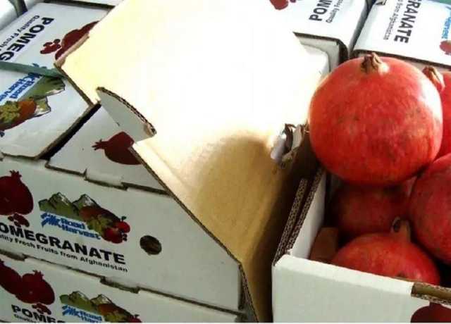 طالبان اور روس کے درمیان زرعی مصنوعات کی برآمدات میں توسیع کا معاہدہ