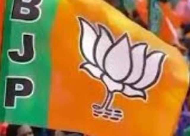 مقبوضہکشمیر، بی جے پی کے رکن اسمبلی رتلے پن بجلی منصوبے میں رکاوٹیں ڈال رہے ہیں، تعمیراتی کمپنی