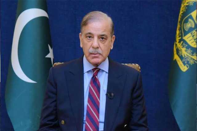 بھارت نے گزشتہ رات جارحیت کر کے فاش غلطی کی، اس کا خمیازہ ضرور بھگتنا ہوگا ، وزیر اعظم شہباز شریف