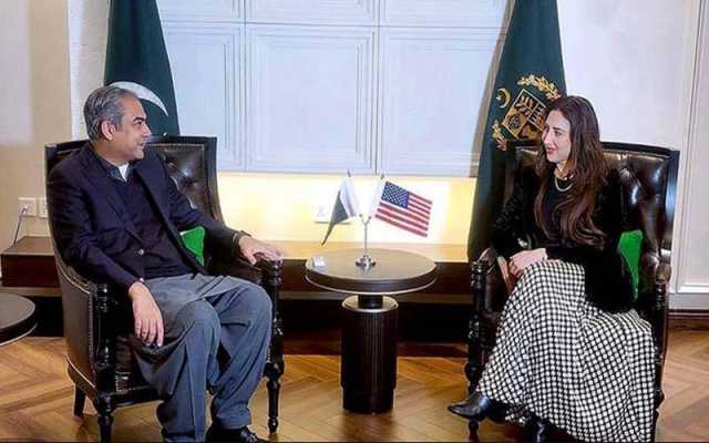 پاک بھارت کشیدگی:وزیرداخلہ کی امریکی قائم مقام سفیر سے 48 گھنٹوں میں دوسری ملاقات