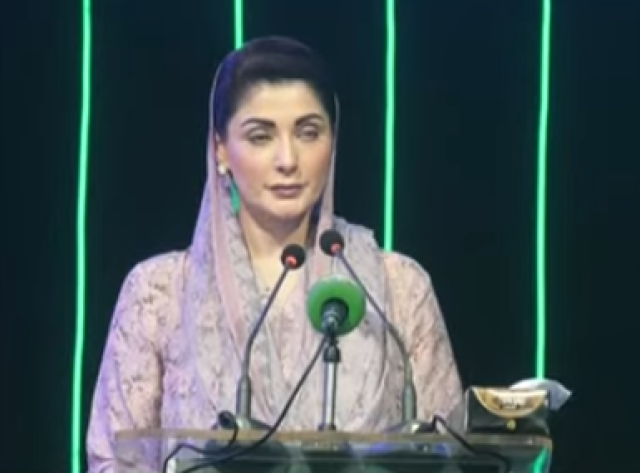 ملکی معیشت میں حیران کن استحکام نظر آیا، وزیر اعلیٰ پنجاب