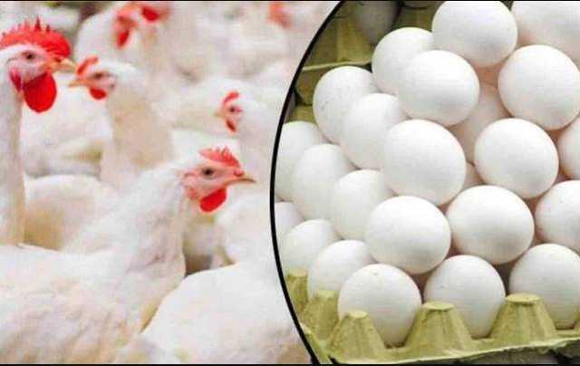 برائلر مرغی کے بعد فارمی انڈوں کی قیمت کو پر لگ گئے۔