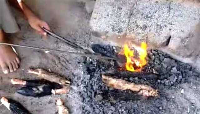 اسلام آباد میں جانوروں کے سری، پائے جلانے پر 7 دن کیلئے پابندی