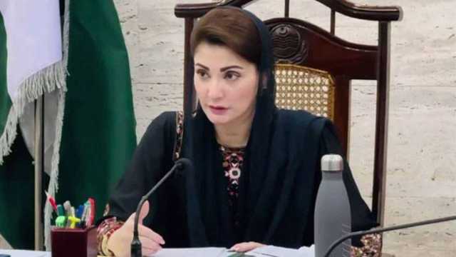 برین ٹیومر کیخلاف عوامی شعور و آگاہی ہی اصل طاقت ہے: مریم نواز