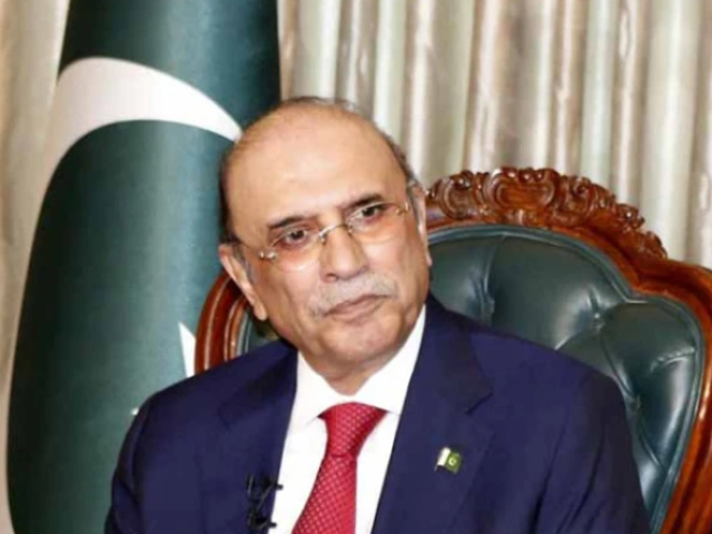 مجبوریاں ہیں ملک کے ساتھ چلنا ہے، زرداری کا پی پی اراکین کی شکایات پر جواب