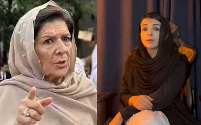 پی ٹی آئی میں پھر اندرونی اختلافات سر اٹھانے لگے۔