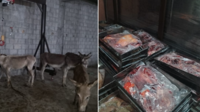 اسلام آباد فوڈ اتھارٹی کا ترنول میں چھاپہ، 25 من گدھے کا گوشت برآمد
