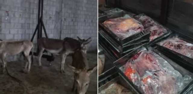 اسلام آباد سے گدھے کا گوشت برآمد: پولیس تحقیقات میں ہوشربا تفصیلات سامنے آگئیں