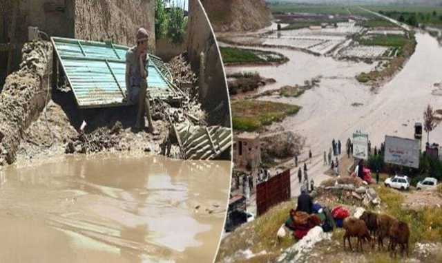 بونیر میں تباہ کن سیلاب، پورا گاؤں پانی میں بہہ گیا، 75 افراد جاں بحق