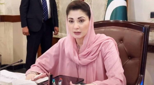 مریم نواز کے حوالے سے نازیبا گفتگو کی ویڈیو وائرل کرنے والے ٹک ٹاکرز گرفتار