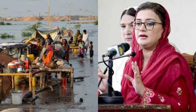 پنجاب حکومت نے بینظیر انکم سپورٹ کے ذریعے سیلاب متاثرین کی امداد سے انکار کردیا
