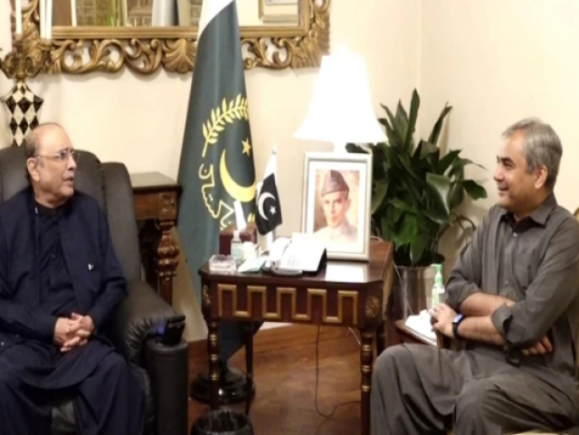 صدر مملکت کی ہدایت پر وزیر داخلہ فوری طور پر کراچی روانہ