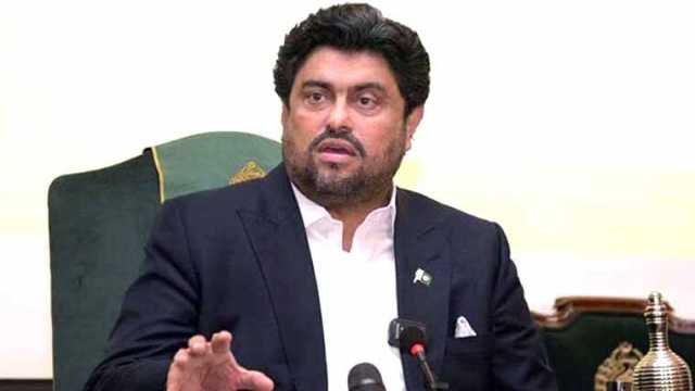 چینی کمپنیوں کو پاکستان میں سرمایہ کاری کی دعوت دی: گورنر سندھ