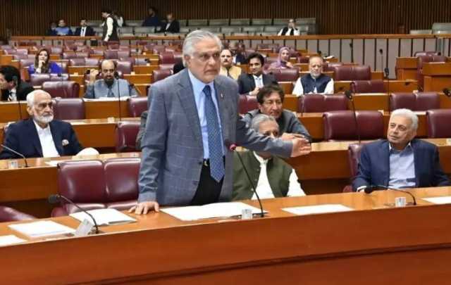 ہمارے کہنے پر غزہ کے 20 نکاتی ڈرافٹ سے اسرائیل کا نام نکالا گیا : اسحاق ڈار