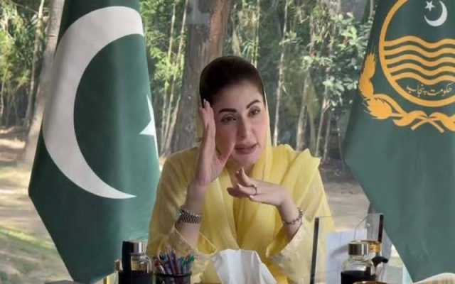 وزیراعلیٰ پنجاب کی زیر صدارت خصوصی اجلاس، ٹماٹر اور دیگر سبزیوں کے نرخ میں اضافے پر اظہار تشویش