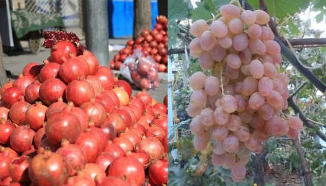 انگور اور انار کی قیمتوں کو پر لگ گئے