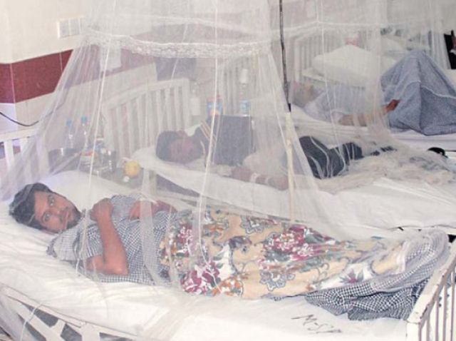 اسلام آباد اور راولپنڈی میں ڈینگی کے وار، کیسز میں مسلسل اضافہ