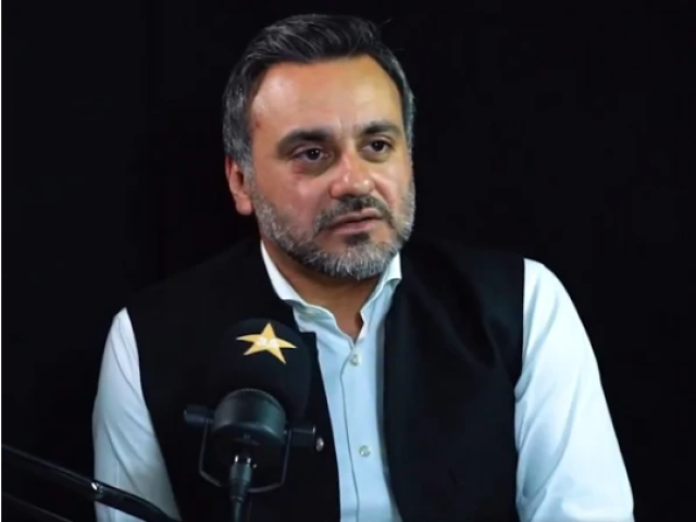 پی ایس ایل 11 میں دو نئی ٹیمیں شامل ہوں گی: سی ای او