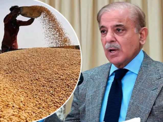 حکومت نے گندم خریداری کا منصوبہ تیار کرلیا
