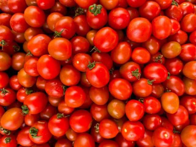 نومبر میں سندھ کا ٹماٹر آئے گا، قیمتوں میں کمی متوقع