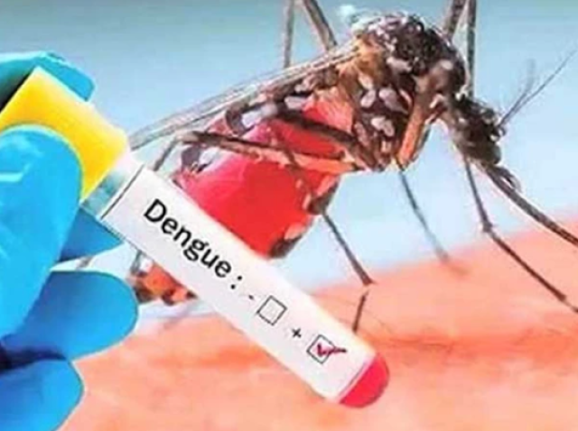 ڈینگی بے قابو، راولپنڈی اور پشاور میں کیسز میں تیزی سے اضافہ