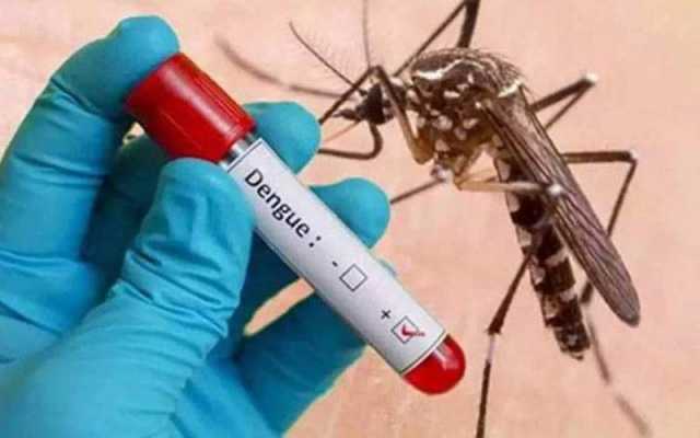 اسلام آباد میں ڈینگی کے وار ، گزشتہ 24 گھنٹوں کے دوران 10 نئے کیسز رپورٹ