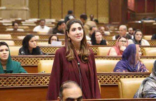 27ویں آئینی ترمیم کے حق میں پنجاب اسمبلی میں قرارداد جمع