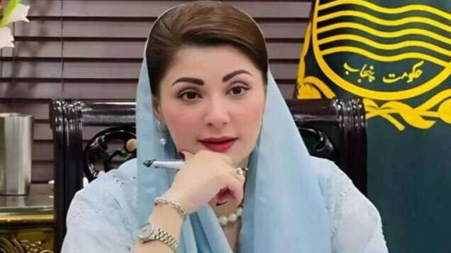 اقبالؒ کے افکار پر عمل سے پاکستان فلاحی ریاست بن سکتا ہے: مریم نواز