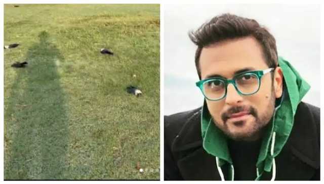 بلال مقصود نے سوشل میڈیا پر کراچی کے پارک میں موجود مردہ کوؤں کی ویڈیو شیئر کردی، یہ ماجرا کیا ہے؟