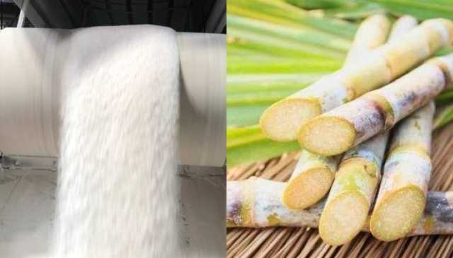 حکومتی وارننگ کام کرگئی، 27 شوگر ملوں نے کرشنگ شروع کردی