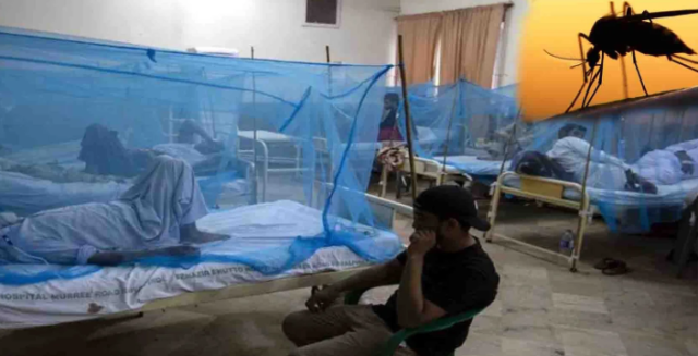 ڈینگی کیسز میں نمایاں کمی ریکارڈ