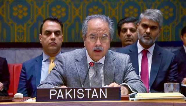 افغانستان میں دہشتگرد گروہوں کی غیر قانونی اسلحے تک رسائی پڑوسی ممالک کیلئے براہ راست خطرہ ہے: پاکستان