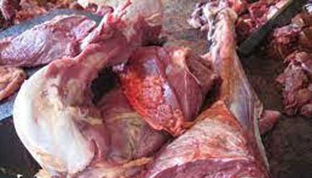 مشکوک گاڑی سے 2 مردہ بھینسوں کا گوشت برآمد ، 2 ملزمان گرفتار