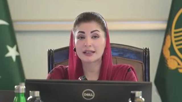 ضمنی الیکشن میں جیت نوازشریف کے نام کرتی ہوں: مریم نواز