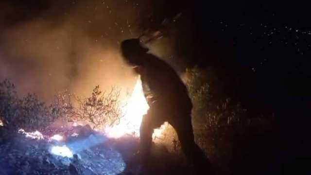 سوات کے علاقے فضاگٹ دارالقضاء کی پہاڑی پر آگ بھڑک اٹھی