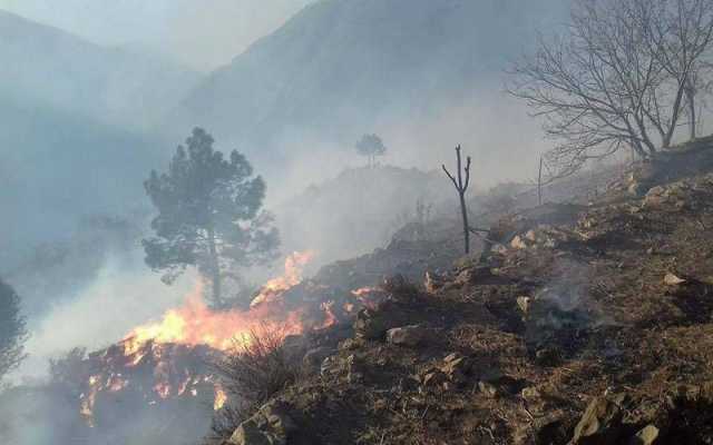شہر سوات کے علاقے میں واقع فضاگٹ دارالقضاء کی پہاڑی پر آگ بھڑک اٹھی
