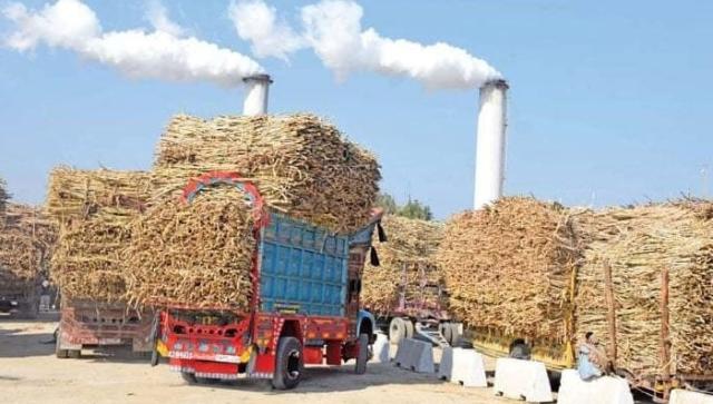 پنجاب کی تمام 41 شوگر ملز نے کرشنگ سیزن کا باقاعدہ آغاز کردیا