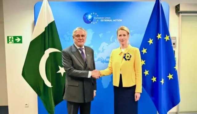 افغانستان دہشت گردی کے خاتمے میں عملی کردار ادا کرے: پاکستان اور یورپی یونین کا مطالبہ