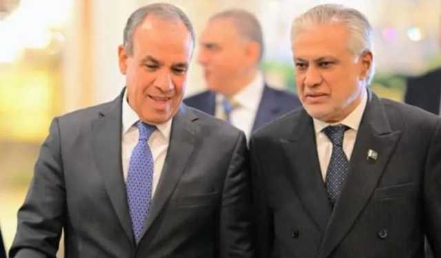 غزہ جنگ بندی معاہدے میں پاکستان نے اہم کردار ادا کیا: مصری وزیر خارجہ