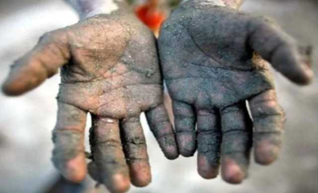 پنجاب، بچوں کی جبری مشقت کے خاتمے کے لیے اسٹیرنگ کمیٹی قائم