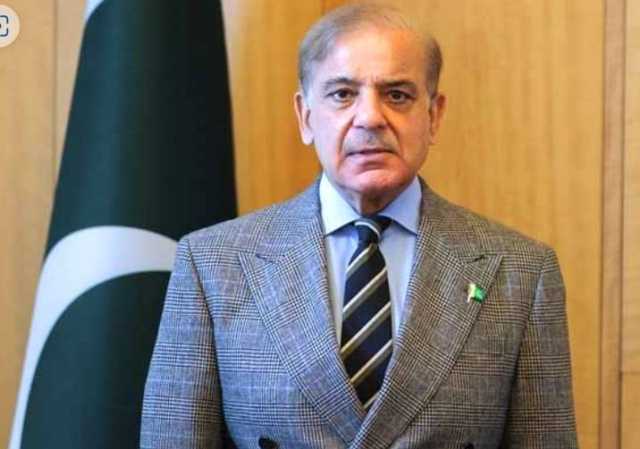 وزیراعظم شہباز شریف لندن سے وطن واپس پہنچ گئے