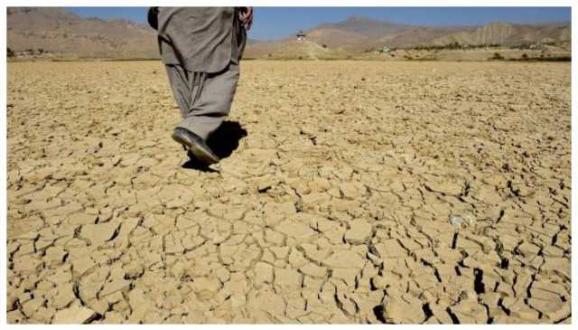 بلوچستان کی قابلِ کاشت زمین گھٹ کر صرف 7.2 فیصد رہ گئی، ماہرین نے خبردار کردیا
