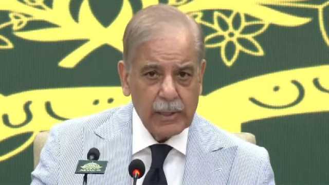 پاکستان میں دہشتگردی کے پیچھے بھارت کا ہاتھ، ہمسایہ ملک وسائل فراہم کر رہا ہے: وزیراعظم