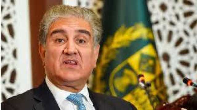 شاہ محمود نے سیاسی جنگ بندی، سنجیدہ قومی مکالمے کی درخواست کر دی 