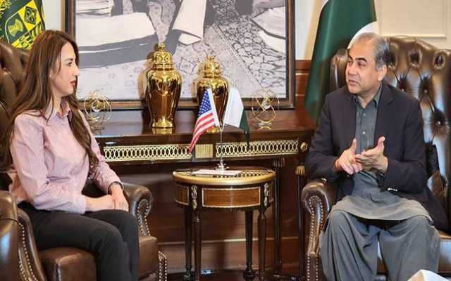 قائم مقام امریکی سفیر کی ملاقات، ٹرمپ نے خطے کو ہولناک تباہی سے بچا کر انسانیت کی خدمت کی: محسن نقوی