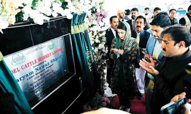 ٹریفک قوانین کی خلاف ورزی پر جرمانہ 10 گنا تک بڑھانے کا فیصلہ، مریم نواز نے ملک کی سب سے بڑی ماڈل کیٹل مارکیٹ کا افتتاح کر دیا