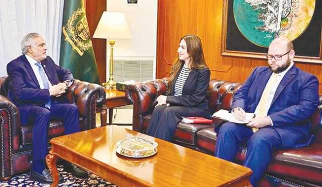 اسحاق ڈار سے امریکی ناظم الامور کی ملاقات، تعاون بڑھانے کا اعادہ